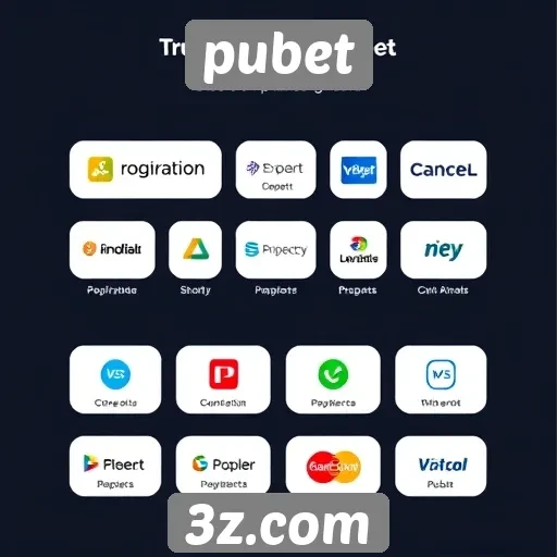 Visão geral das opções de pagamento no pubet